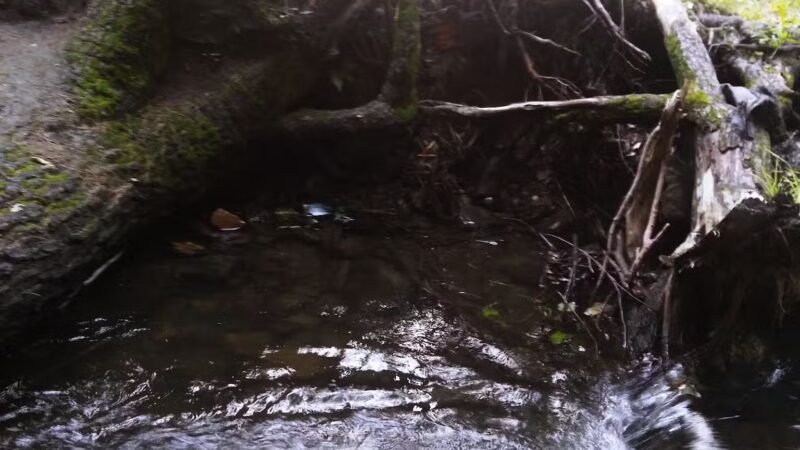 Veterans Park - Claremont, NH