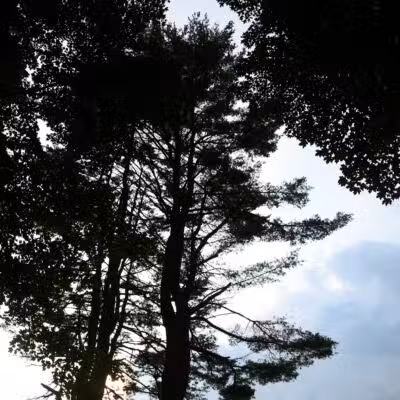 Veterans Park - Claremont, NH