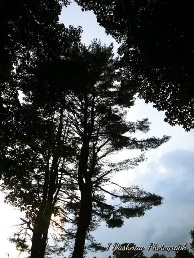 Veterans Park - Claremont, NH