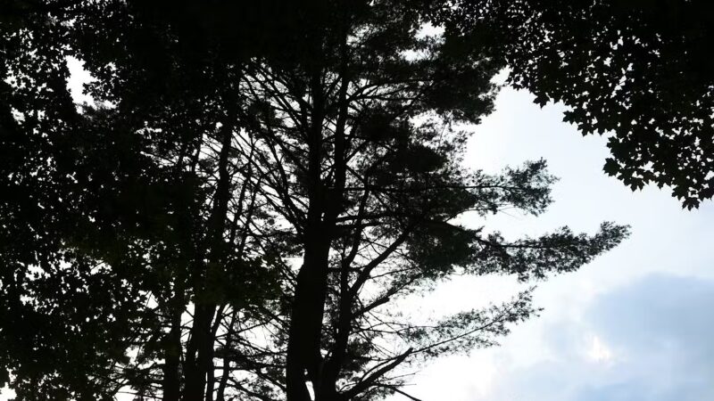 Veterans Park - Claremont, NH