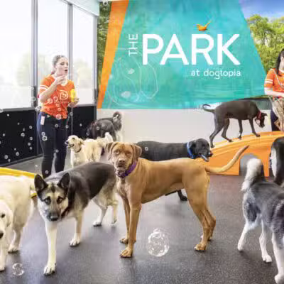 Dogtopia of Clarksville - Clarksville, MD