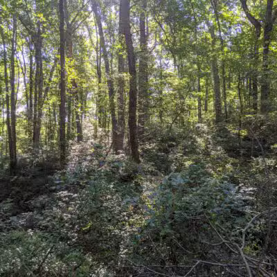 Middle Patuxent Environmental Area - Clarksville, MD