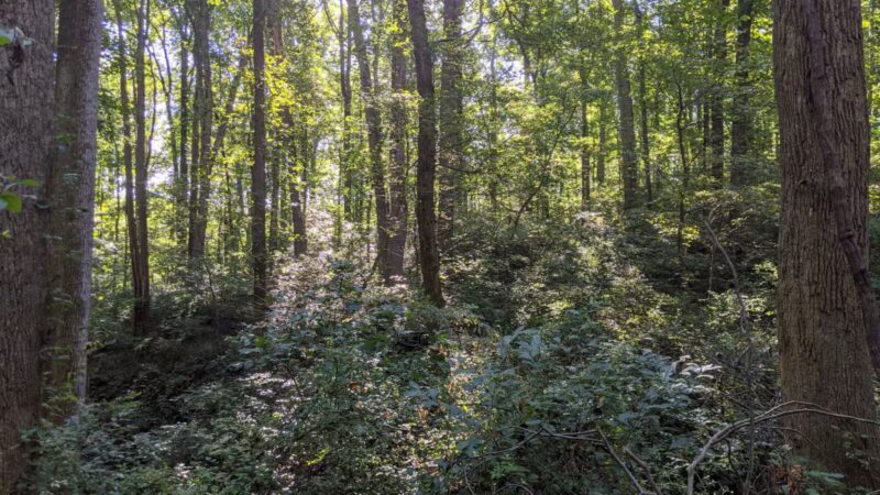 Middle Patuxent Environmental Area - Clarksville, MD