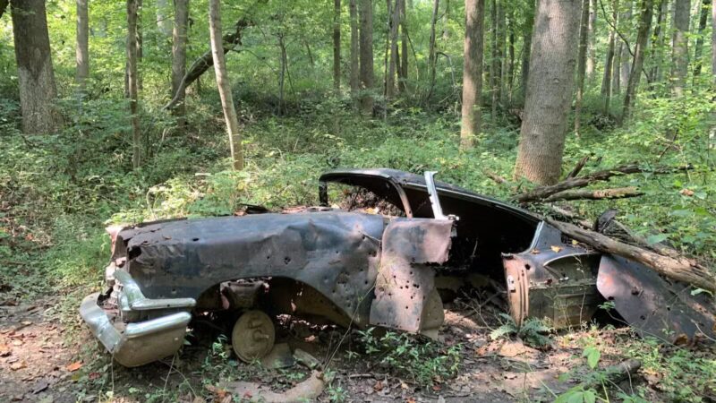 Middle Patuxent Environmental Area - Clarksville, MD