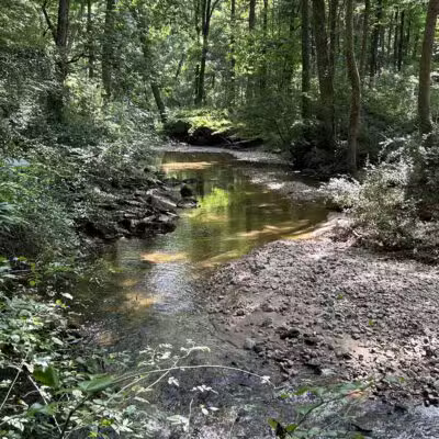 Middle Patuxent Environmental Area - Clarksville, MD