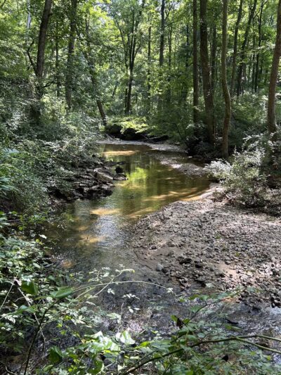 Middle Patuxent Environmental Area - Clarksville, MD