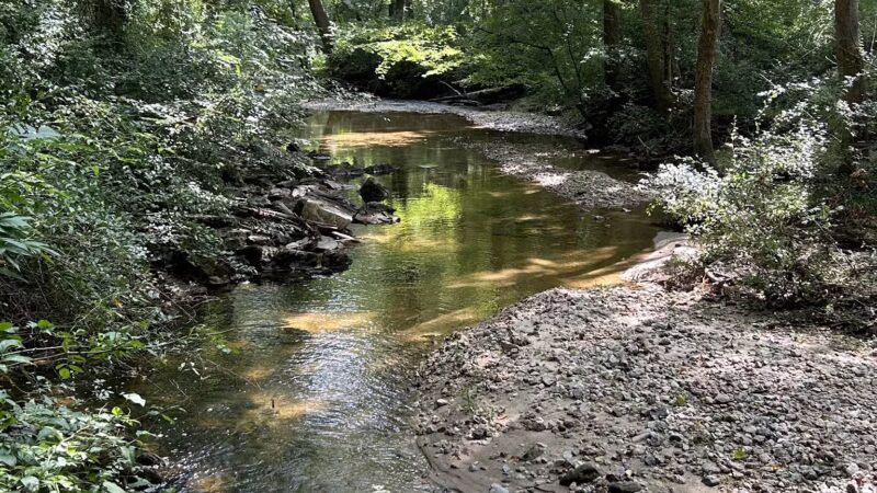 Middle Patuxent Environmental Area - Clarksville, MD