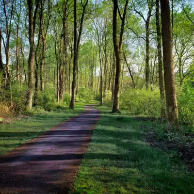 Middle Patuxent Environmental Area - Clarksville, MD