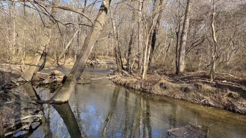Middle Patuxent Environmental Area & Foundation Parking - Clarksville, MD
