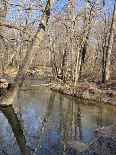 Middle Patuxent Environmental Area & Foundation Parking - Clarksville, MD