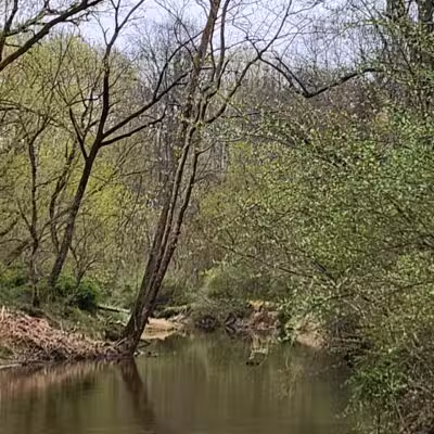Middle Patuxent Environmental Area & Foundation Parking - Clarksville, MD