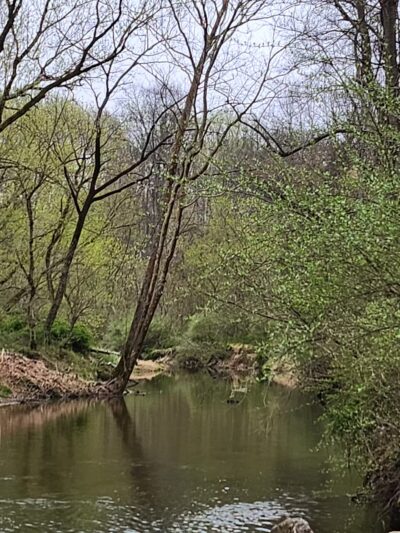 Middle Patuxent Environmental Area & Foundation Parking - Clarksville, MD