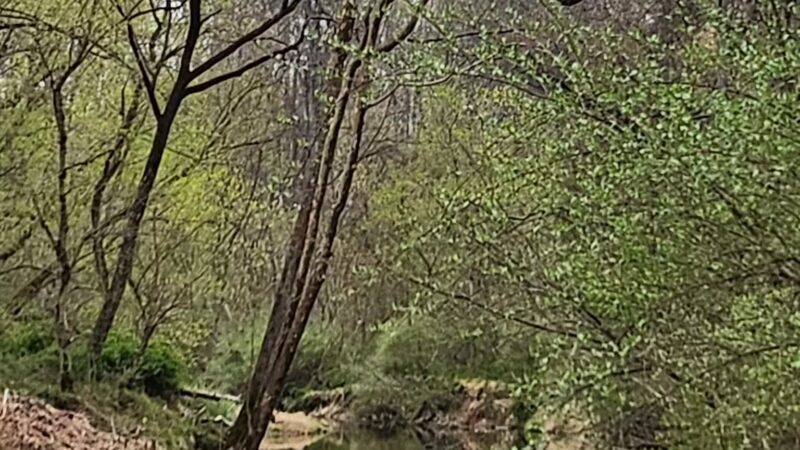 Middle Patuxent Environmental Area & Foundation Parking - Clarksville, MD