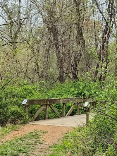 Middle Patuxent Environmental Area & Foundation Parking - Clarksville, MD