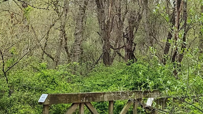 Middle Patuxent Environmental Area & Foundation Parking - Clarksville, MD