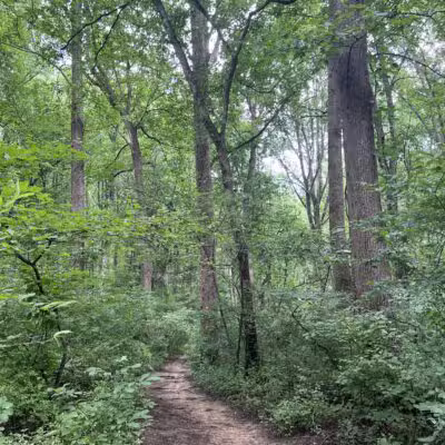 Middle Patuxent Environmental Area & Foundation Parking - Clarksville, MD