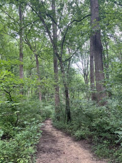 Middle Patuxent Environmental Area & Foundation Parking - Clarksville, MD
