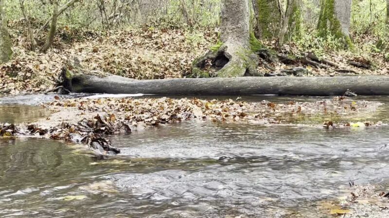 Middle Patuxent Environmental Area - Clarksville, MD