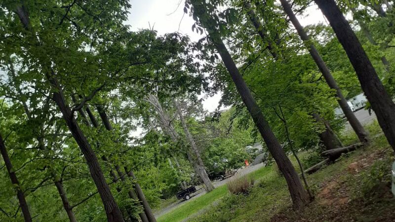 Nash Dom - Clarksville, MD