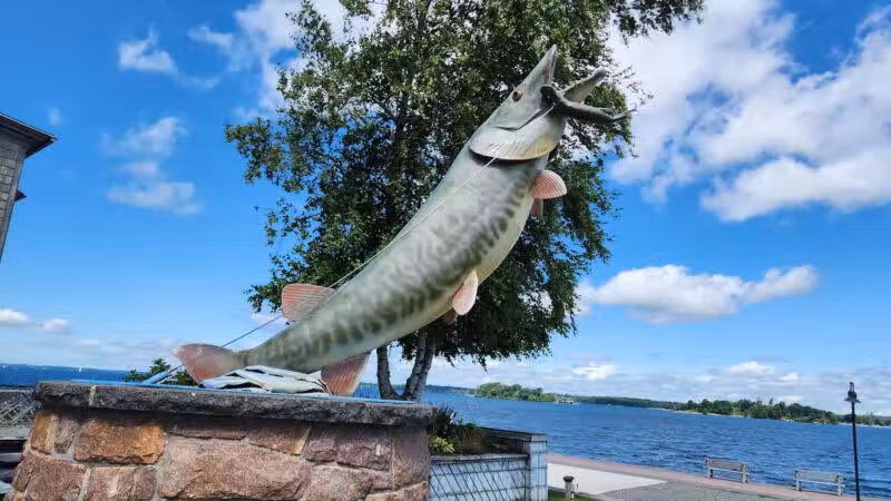 Frink Park - Clayton, NY