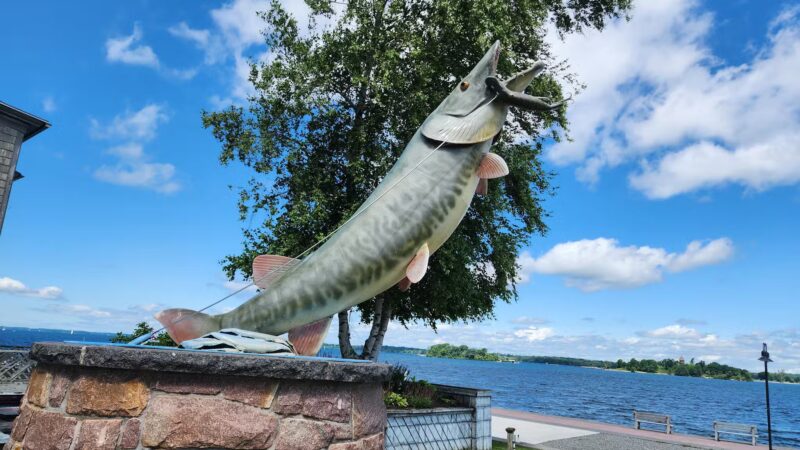 Frink Park - Clayton, NY