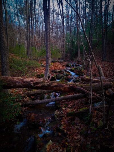 Mid State Trail - Clearville, PA