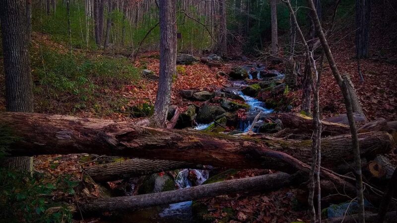 Mid State Trail - Clearville, PA