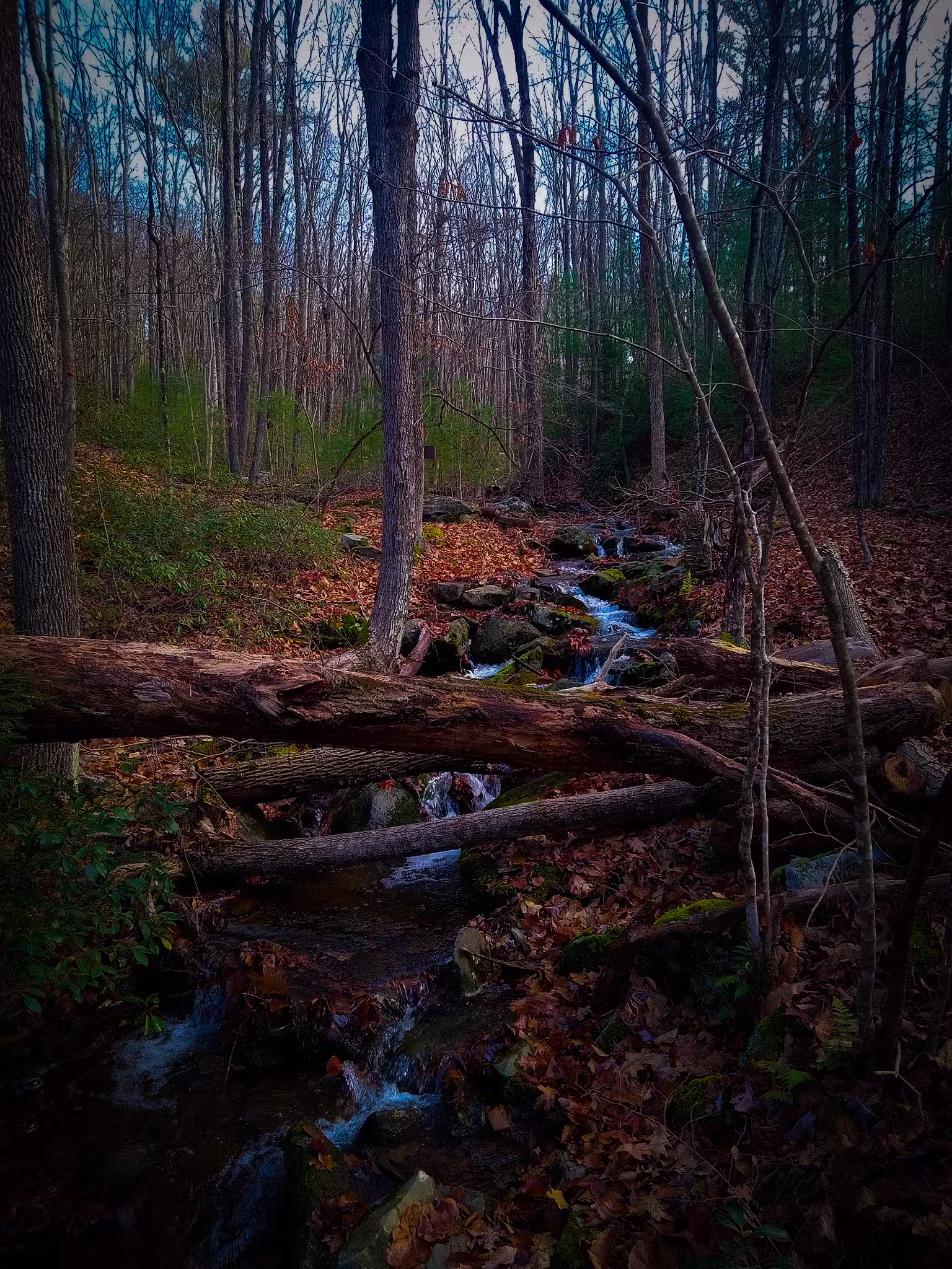 Mid State Trail - Clearville, PA