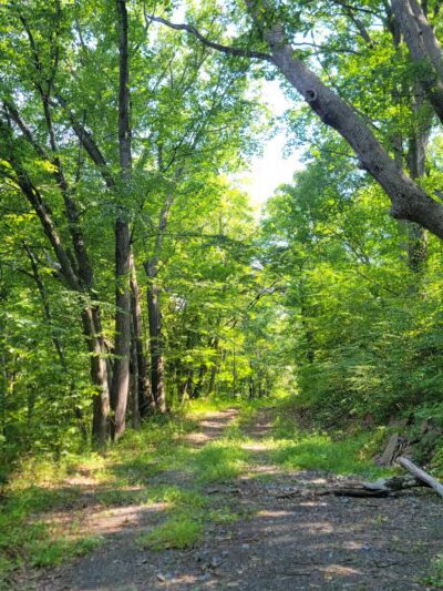 Mid State Trail - Clearville, PA