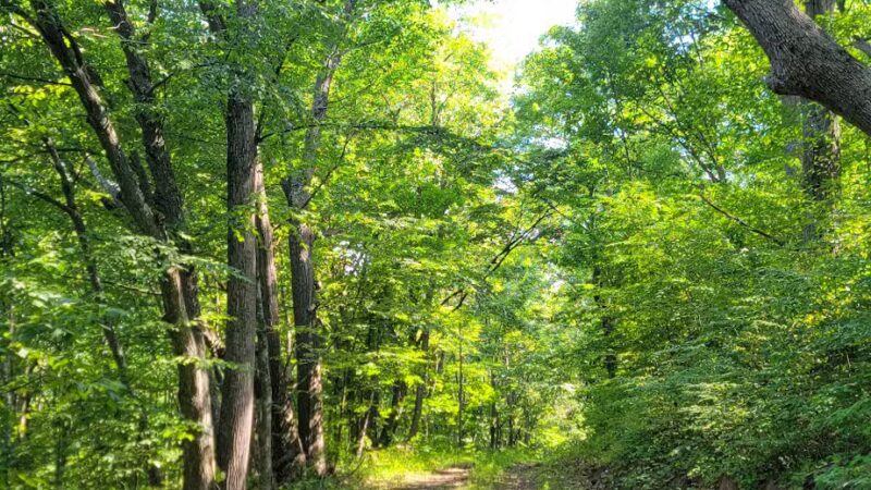 Mid State Trail - Clearville, PA