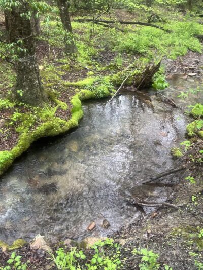 Mid State Trail - Clearville, PA