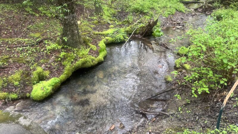 Mid State Trail - Clearville, PA