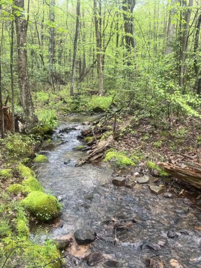 Mid State Trail - Clearville, PA