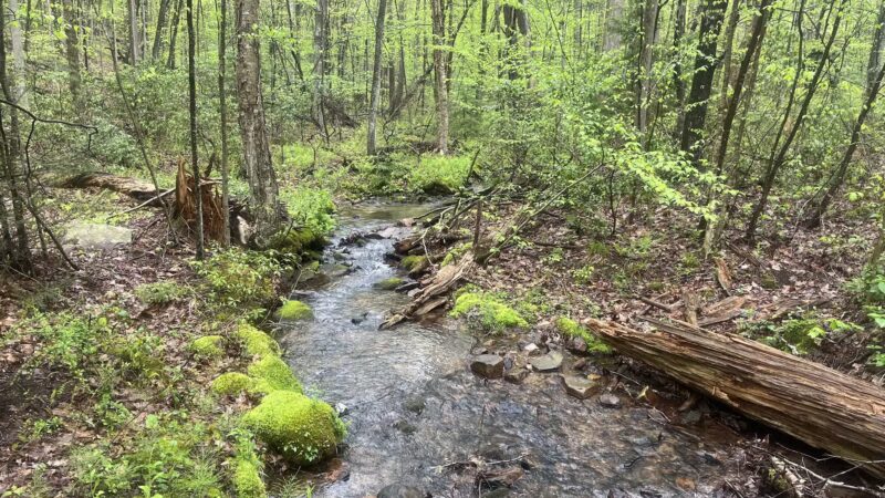 Mid State Trail - Clearville, PA