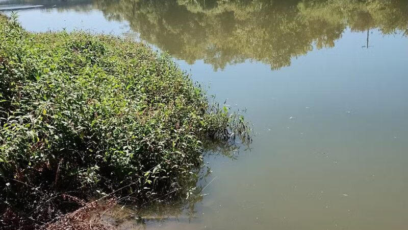 Byron "Buddy" Stewart Park - Cleburne, TX