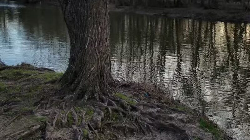 Byron "Buddy" Stewart Park - Cleburne, TX
