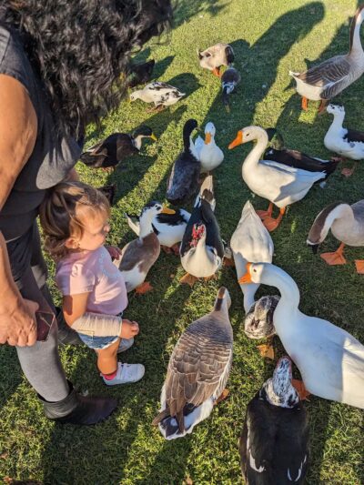 Callicott Student Park - Cleburne, TX