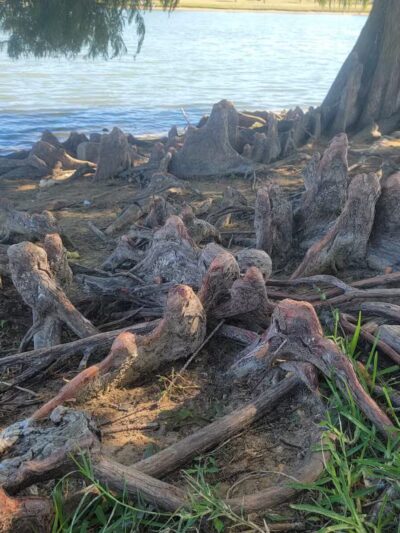 Callicott Student Park - Cleburne, TX