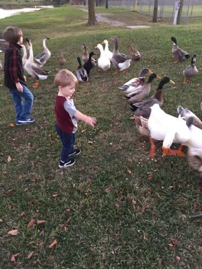 Callicott Student Park - Cleburne, TX