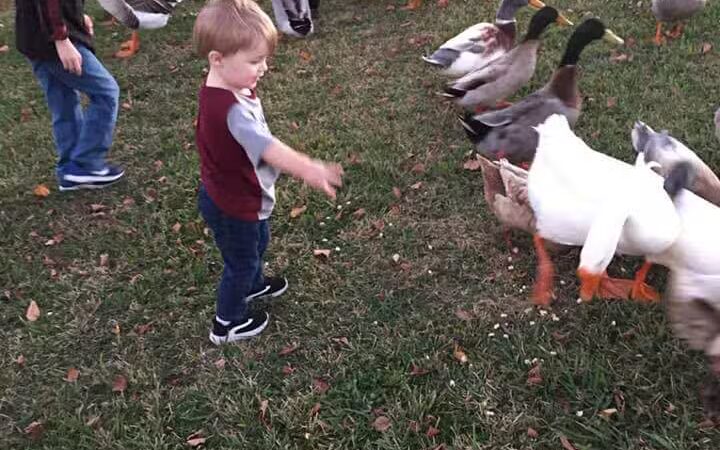 Callicott Student Park - Cleburne, TX