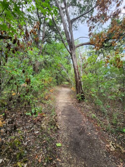 Cleburne State Park - Cleburne, TX
