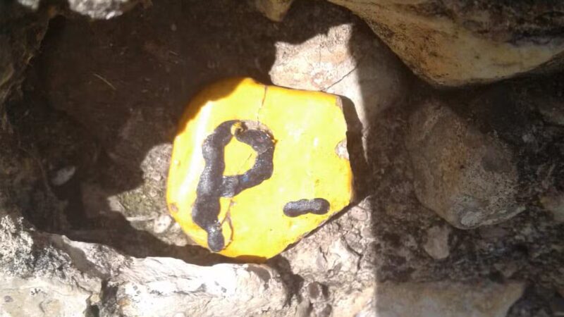 P. D. Lacewell Park - Cleburne, TX