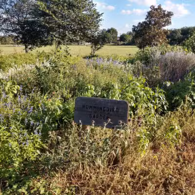 Winston Patrick McGregor Park - Cleburne, TX