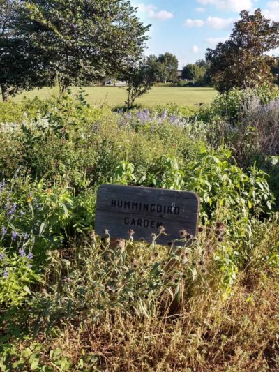 Winston Patrick McGregor Park - Cleburne, TX