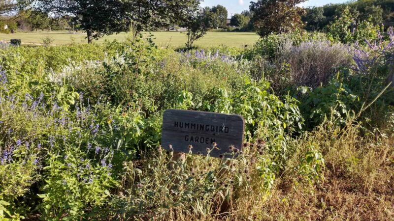 Winston Patrick McGregor Park - Cleburne, TX