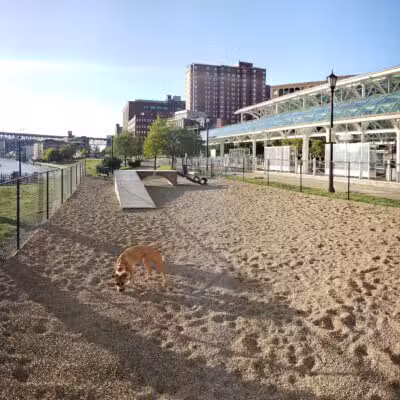 Downtown Cleveland Dog Park - Cleveland, OH