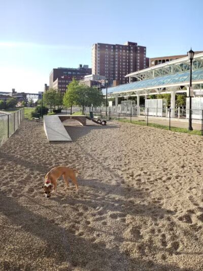 Downtown Cleveland Dog Park - Cleveland, OH