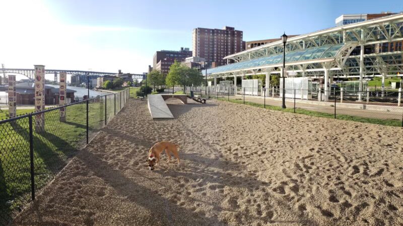 Downtown Cleveland Dog Park - Cleveland, OH