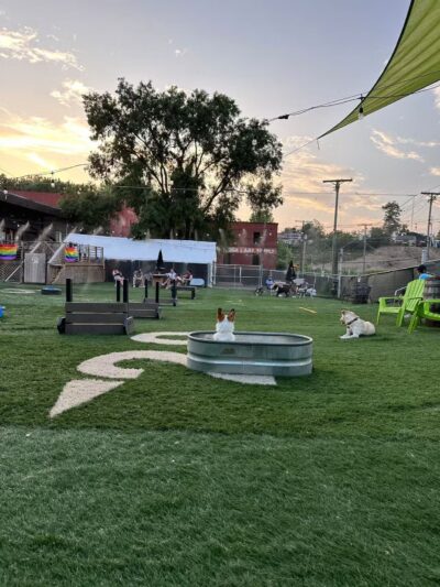 Taps & Tails - Cleveland, OH