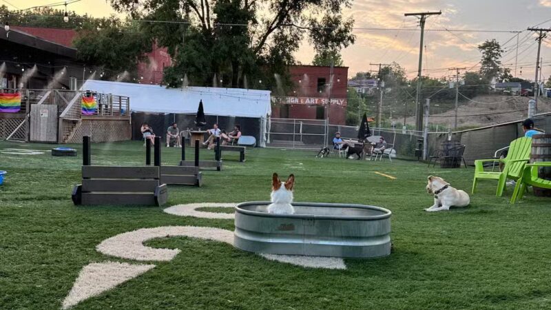 Taps & Tails - Cleveland, OH